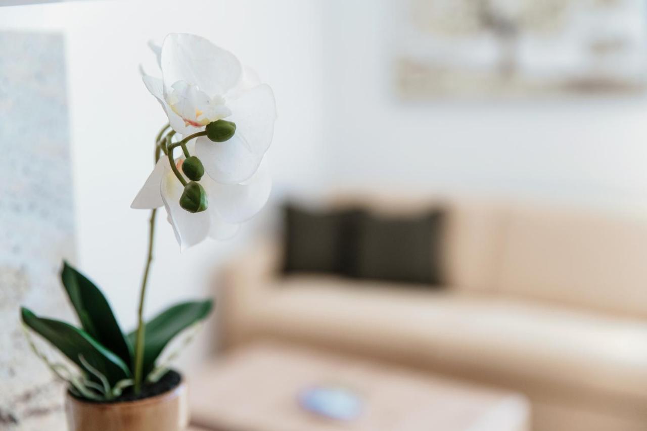 Palace Apartment By Quokka 360 - 2 Minutes From Lugano Lido ภายนอก รูปภาพ